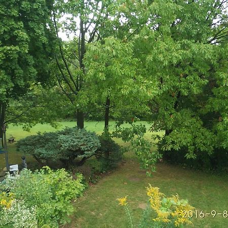 多伦多邓肯公园民宿 Toronto Duncan Park Guesthouse Buitenkant foto