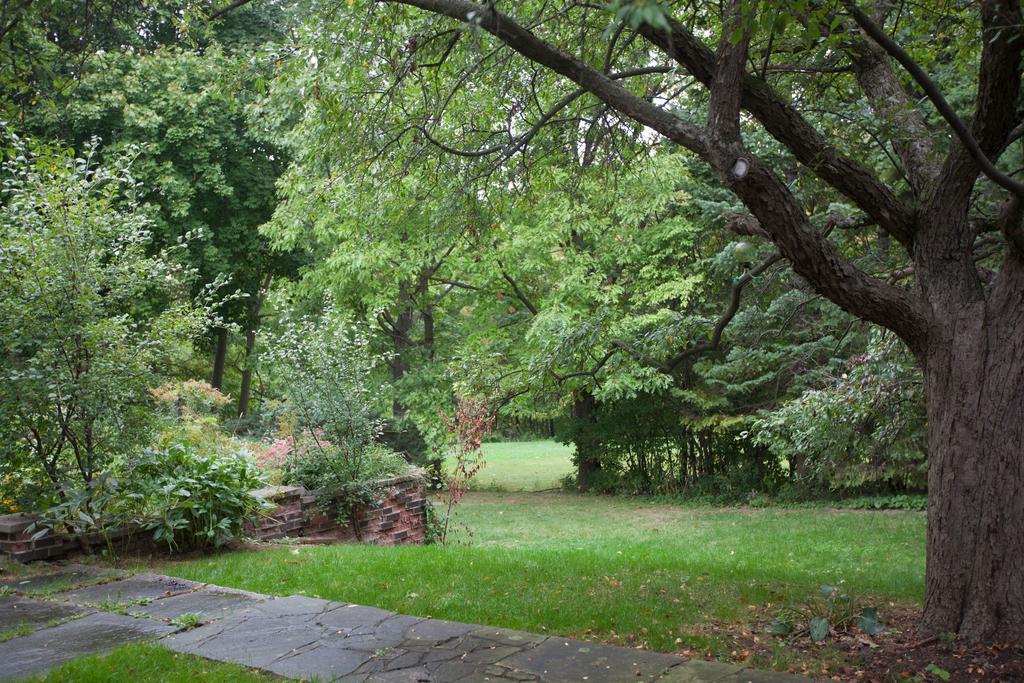 多伦多邓肯公园民宿 Toronto Duncan Park Guesthouse Buitenkant foto